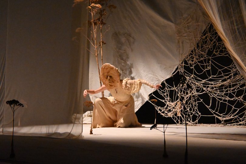 Mi abuela cultivó un jardín