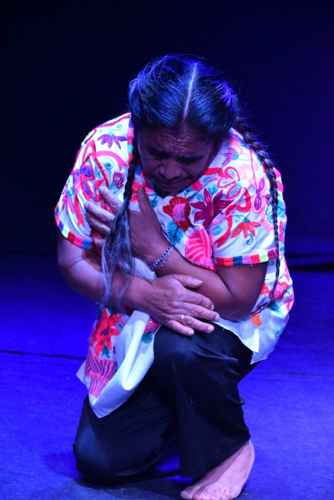 Chi'etik xchi'uk ch'aetik vayichetik<br>Dulces y amargos sueños