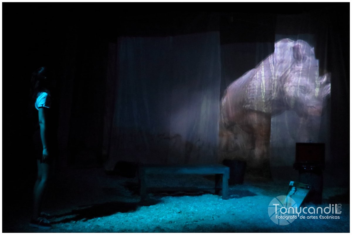 El camino rojo de Dolores