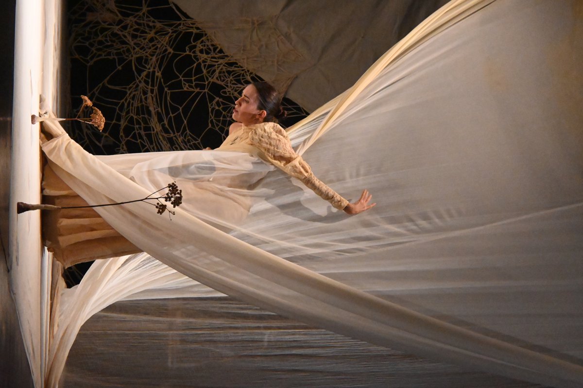 Mi abuela cultivó un jardín