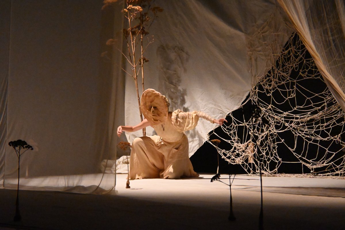 Mi abuela cultivó un jardín