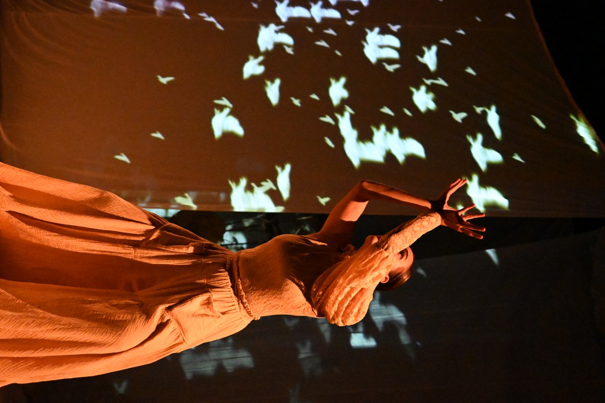 Mi abuela cultivó un jardín